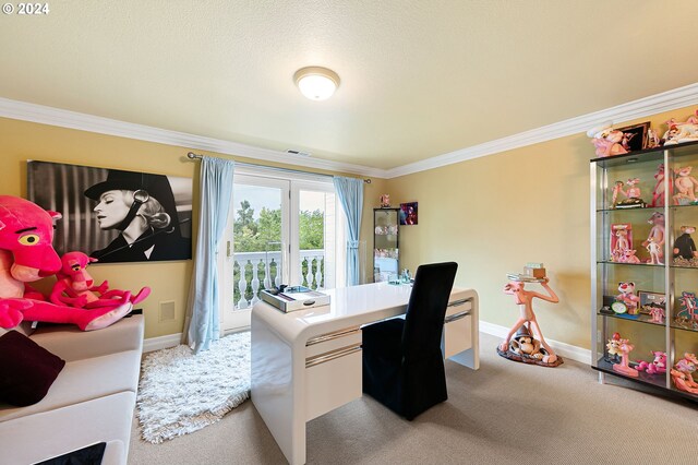 office area featuring crown molding, carpet floors, and a textured ceiling