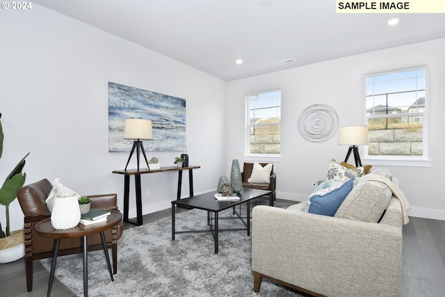 living room featuring hardwood / wood-style flooring