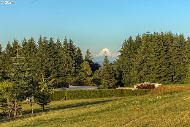 view of property's community with a lawn, a mountain view, and a rural view