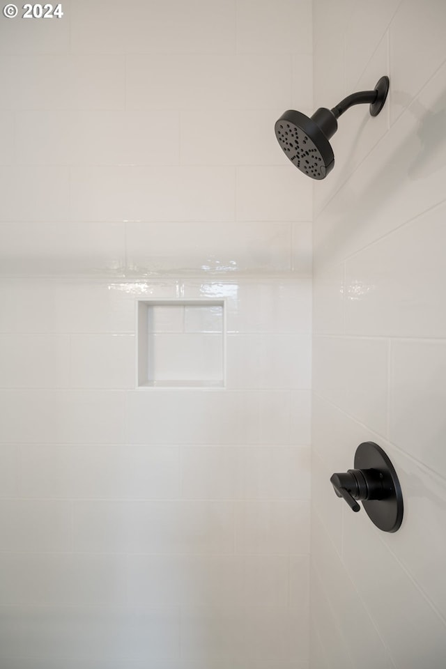 interior details with tiled shower