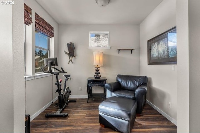 living area with dark hardwood / wood-style floors and a healthy amount of sunlight