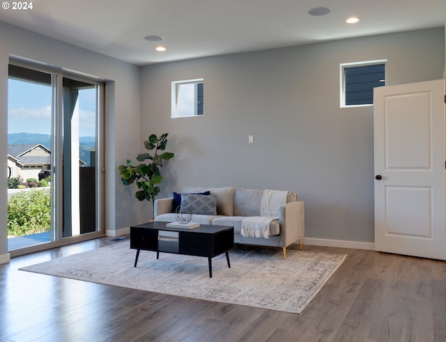 living room with hardwood / wood-style floors and a mountain view