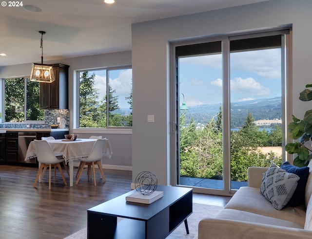 living room with a mountain view and hardwood / wood-style floors