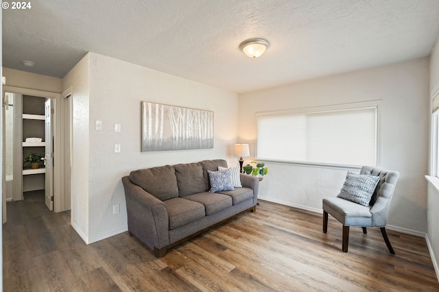 living room with a textured ceiling and hardwood / wood-style flooring