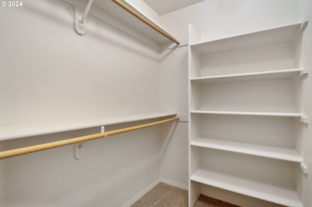 walk in closet with carpet