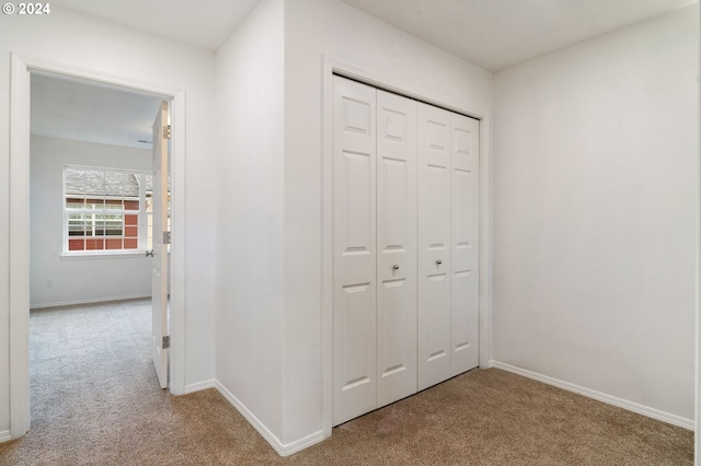 hall featuring baseboards and carpet