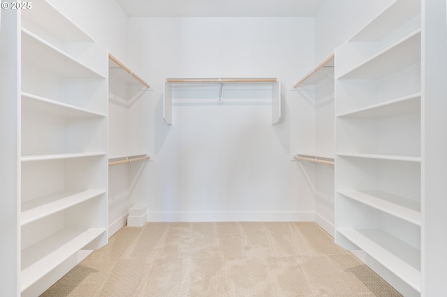 spacious closet with light carpet