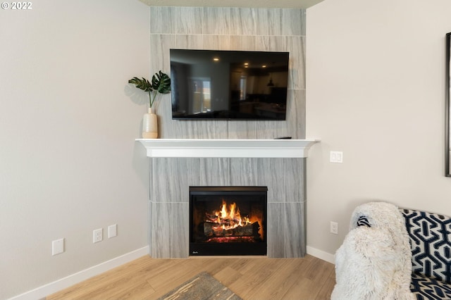 details featuring hardwood / wood-style floors and a fireplace