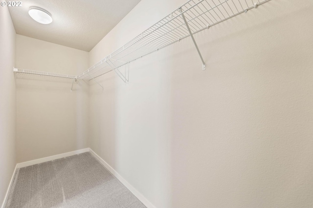 walk in closet featuring carpet floors