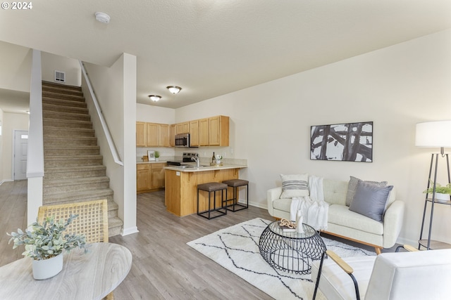 living room featuring light hardwood / wood-style flooring