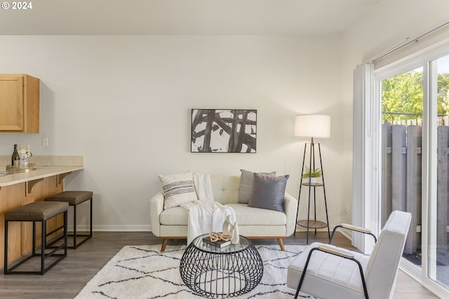 sitting room with dark hardwood / wood-style floors