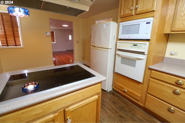 kitchen featuring dark hardwood / wood-style flooring and white appliances