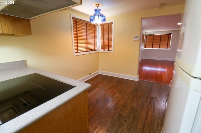 kitchen with pendant lighting and dark hardwood / wood-style flooring