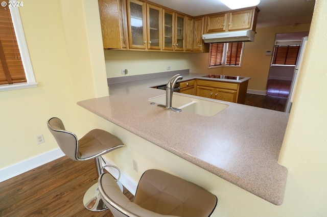 kitchen featuring stovetop, sink, kitchen peninsula, and dark wood-type flooring