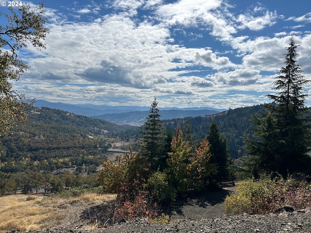 0 Eagle Dr Unit 37, Roseburg, OR 97471