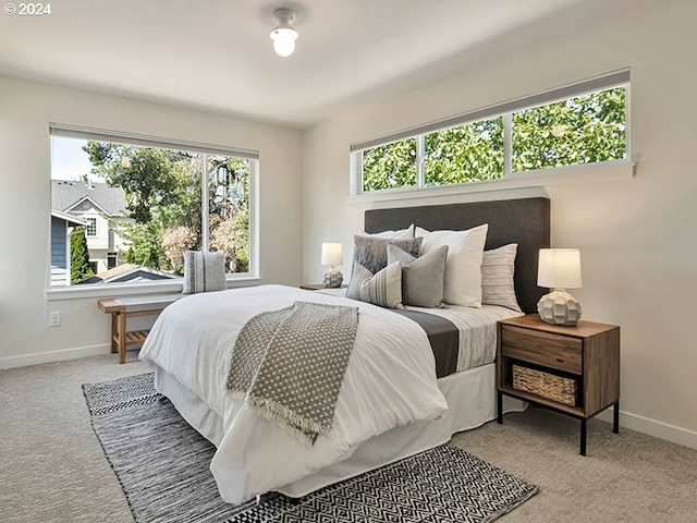 carpeted bedroom with multiple windows