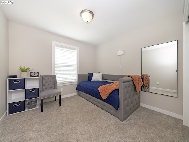 bedroom featuring carpet floors