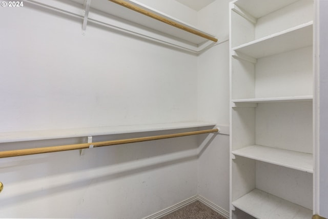 walk in closet with carpet flooring