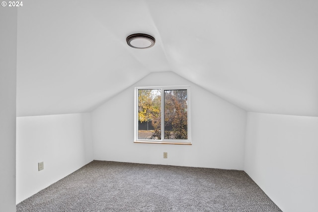 bonus room featuring lofted ceiling and carpet floors