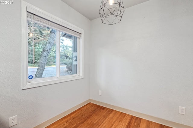 empty room featuring wood-type flooring