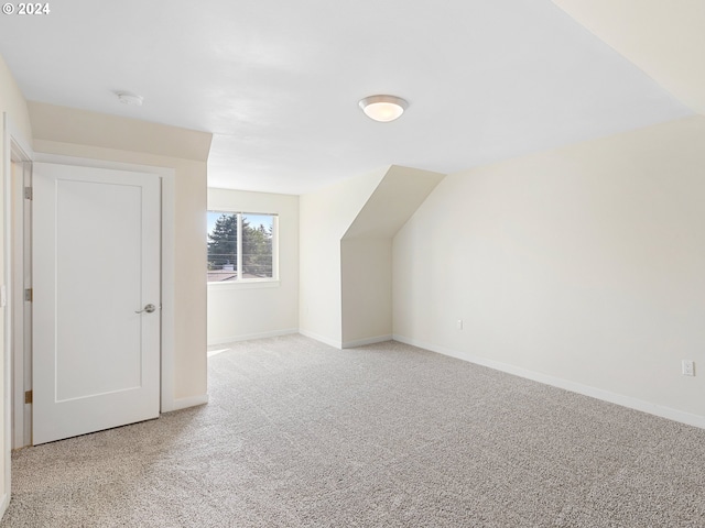 bonus room with carpet flooring