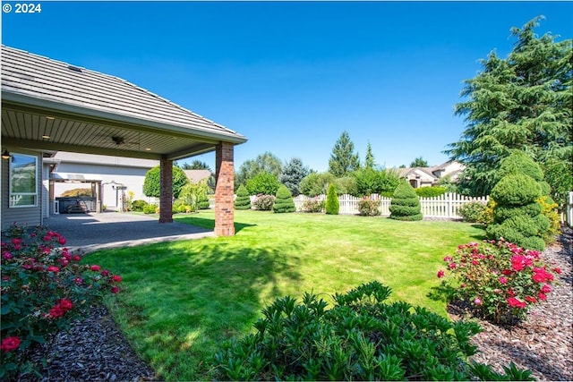 view of yard featuring a patio area