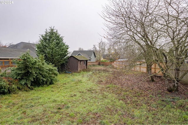 view of yard with a storage shed