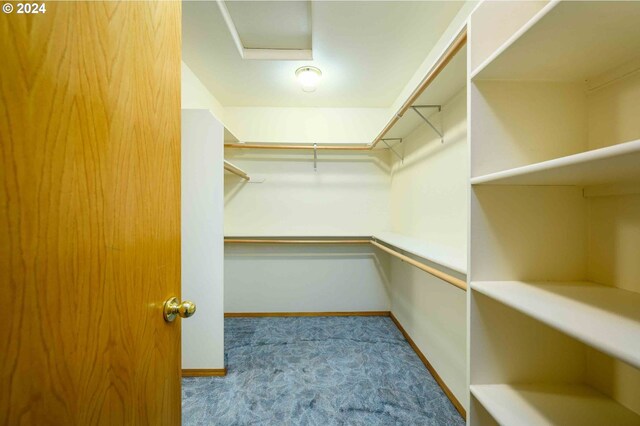 spacious closet featuring light colored carpet