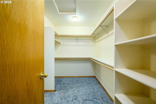 walk in closet with light carpet