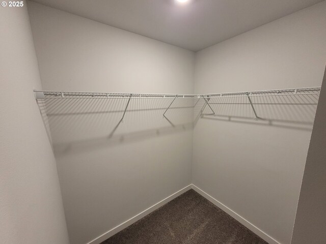 walk in closet featuring dark carpet