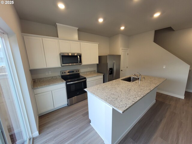 kitchen featuring recessed lighting, appliances with stainless steel finishes, a sink, and wood finished floors