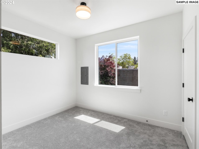 empty room featuring electric panel, light carpet, and a wealth of natural light