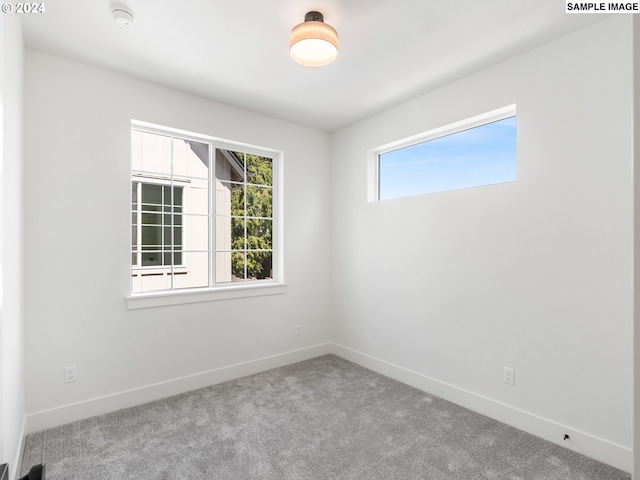 unfurnished room with carpet floors