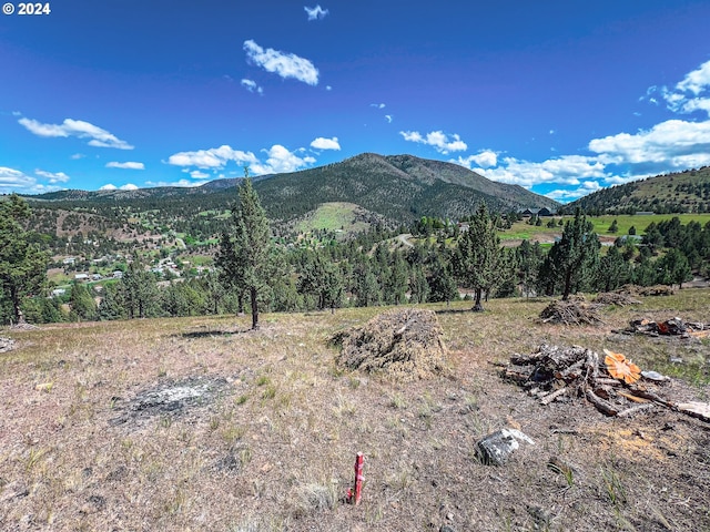 360 S Cougar Ridge Rd, Canyon City OR, 97820 land for sale