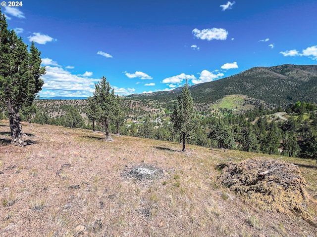 Listing photo 2 for 360 S Cougar Ridge Rd, Canyon City OR 97820