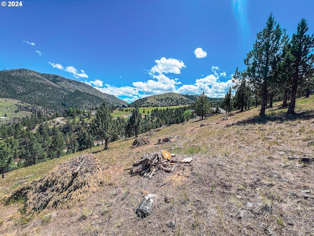 Listing photo 3 for 360 S Cougar Ridge Rd, Canyon City OR 97820