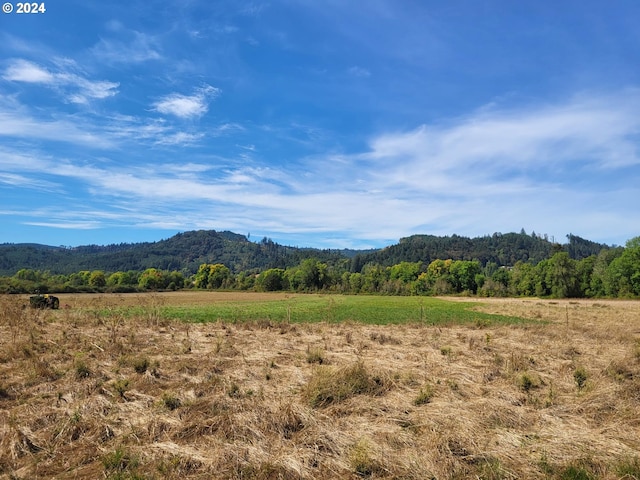 view of mountain feature with a rural view