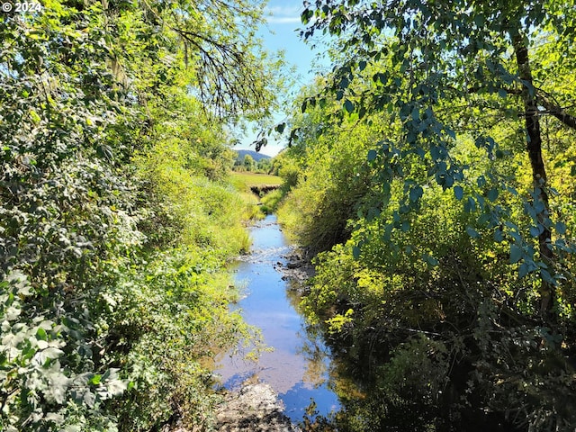 view of water feature