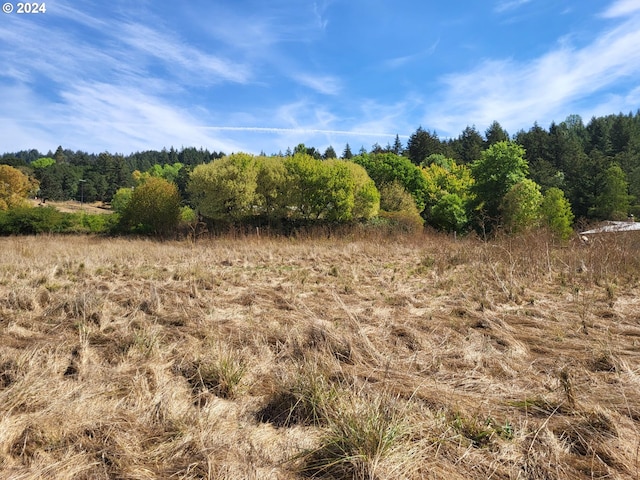 view of local wilderness with a rural view