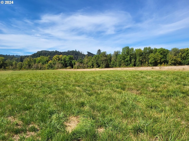 view of landscape featuring a rural view