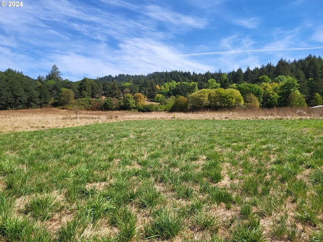 view of yard with a rural view