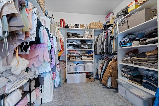 walk in closet with carpet flooring