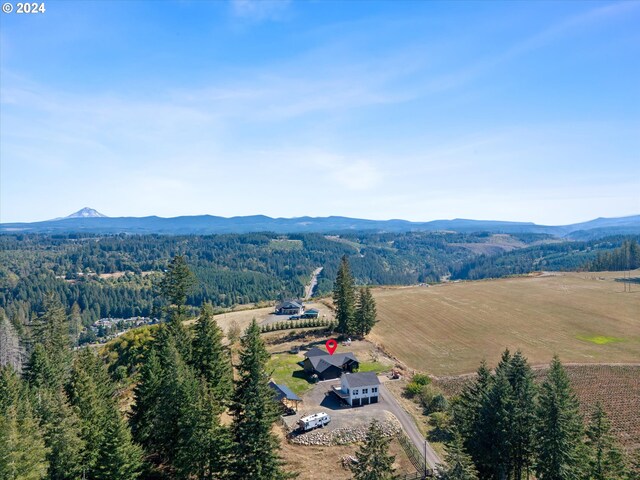 drone / aerial view featuring a mountain view