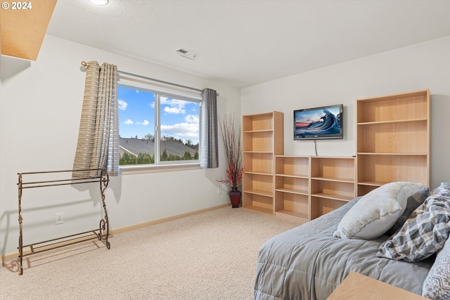 bedroom featuring carpet floors