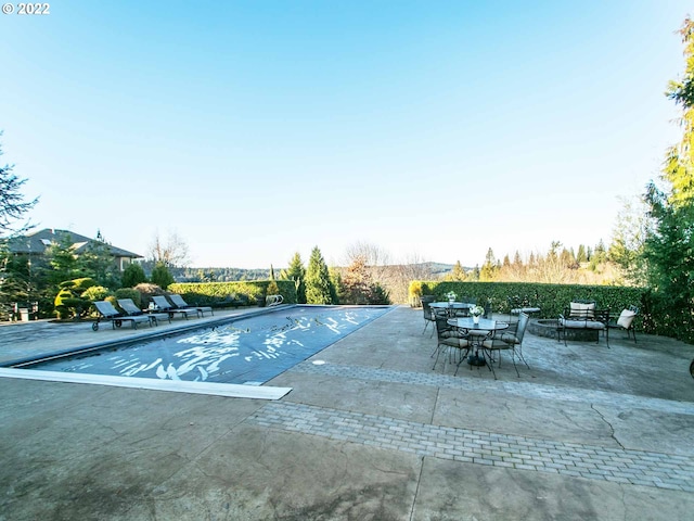 view of pool featuring a patio area