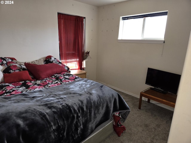 bedroom featuring carpet floors