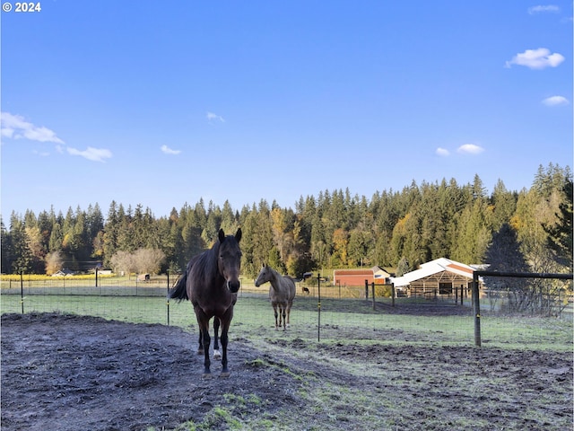 view of home's community featuring a rural view