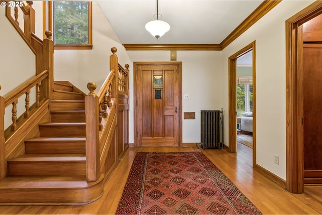 foyer entrance featuring crown molding, radiator, and light hardwood / wood-style floors