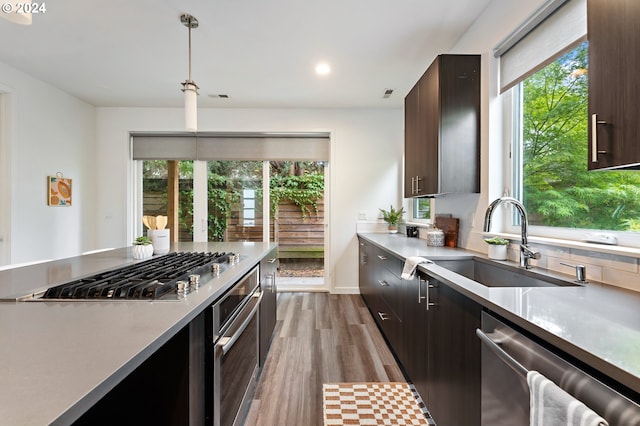 kitchen with dark brown cabinetry, appliances with stainless steel finishes, light wood-type flooring, and plenty of natural light