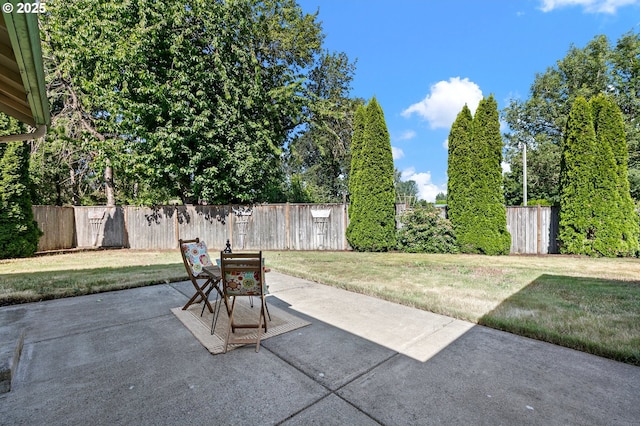 1157 Yew St, Junction City, OR 97448 - view of patio